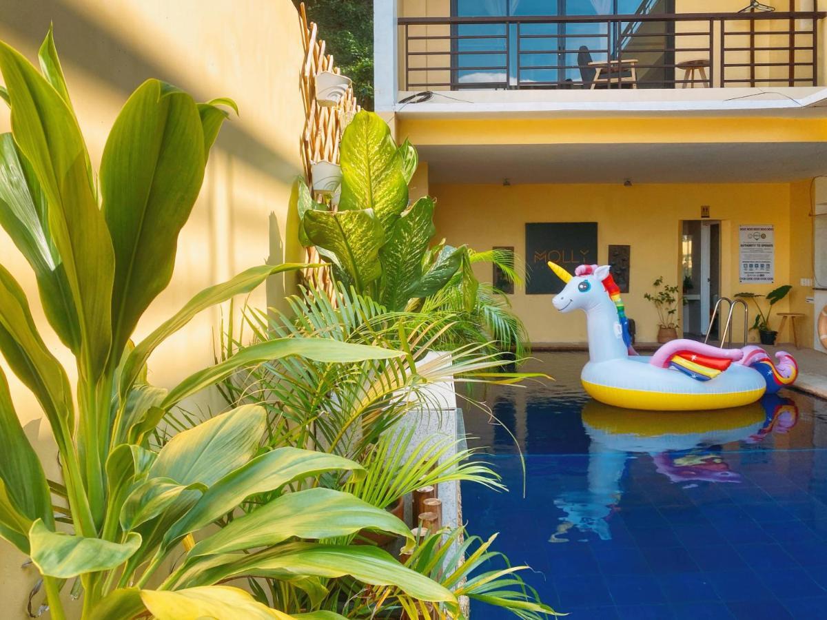 Molly Resorts Puerto Galera Luaran gambar
